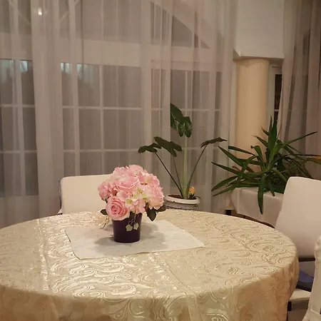 ゲストハウス Art Depandansa ザダル